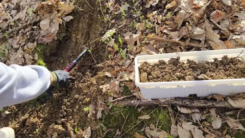 Collecting compost for flower pot Stock Footage 268056994