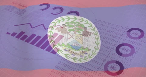 Collecting data animation over Belize flag and binary code background Stock Footage 306339281