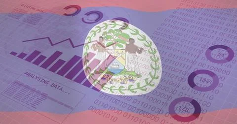 Collecting data image over Belize flag and binary code background 库存照片