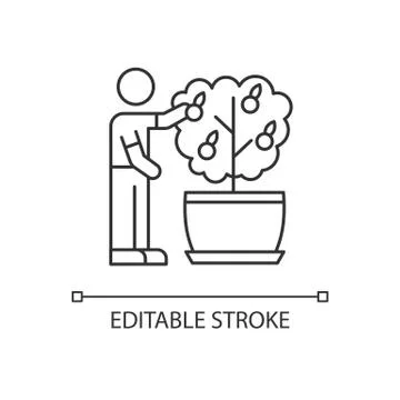 Collecting fruit from mini citrus tree pixel perfect linear icon. Thriving Stock Illustration