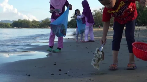 Collecting garbage around the beach Stock Footage 133753165