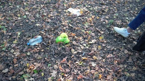 Collecting garbage in the environment. Cleaning in nature after a human visit Видео 124156696