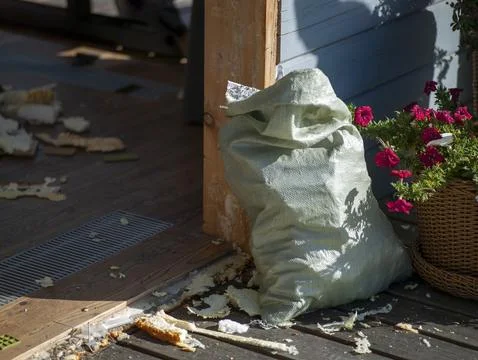 Collecting garbage into a sack Stock Photos