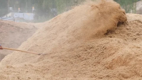 Collecting hay Stock Footage 294045176