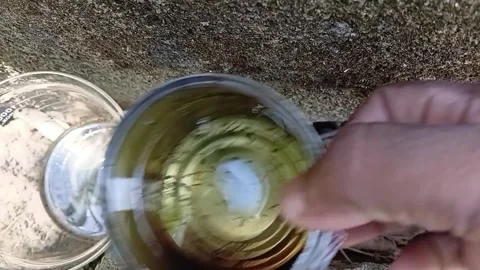 Collecting Mosquito Larvae Sample Into Beaker 動画素材 335473464