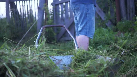 Collecting mown grass from the plot in a pile from a cart. summer mowing Stock Footage 168899539