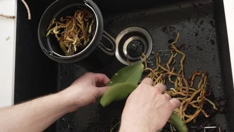 Collecting plant roots for compost Stock Footage 334044881