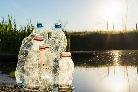 Collecting plastic garbage on the beach or on the shore of a reservoir, the c Stock Photos