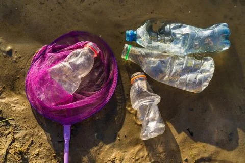 Collecting plastic garbage on the beach or on the shore of a reservoir, the c Foto stock