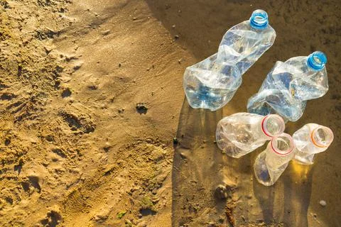 Collecting plastic garbage on the beach or on the shore of a reservoir, the c Foto stock
