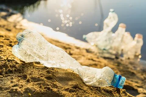 Collecting plastic garbage on the beach or on the shore of a reservoir, the Foto stock