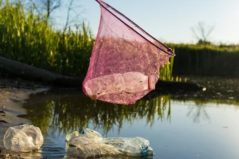 Collecting plastic garbage on the beach or on the shore of a reservoir, the Foto stock