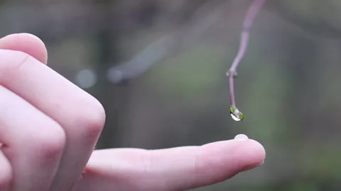 Collecting Raindrops Video stock 200784475