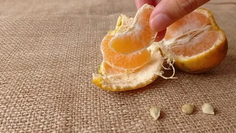 Collecting the seed of orange fruit on the table Stock Footage 150523083