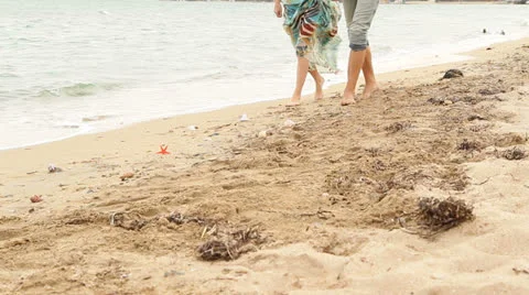 Collecting Shells 스톡 동영상 26177688