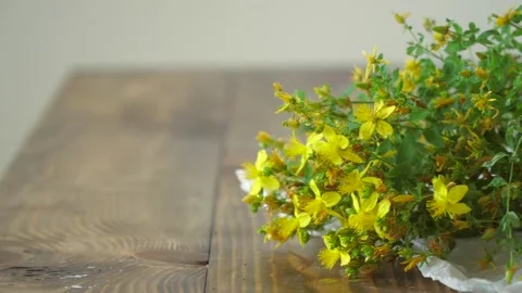 Collecting thyme for tea. Dry the herbs at home. Vídeos de archivo 134553196