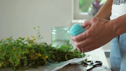 Collecting thyme for tea. Dry the herbs at home. Vídeos de archivo 134553302
