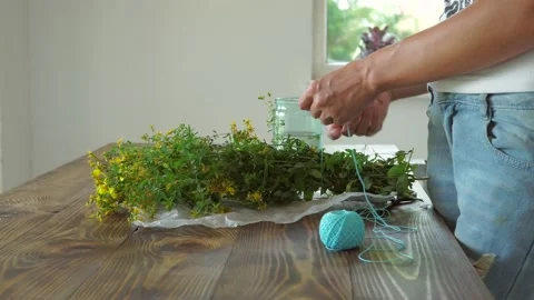 Collecting thyme for tea. Dry the herbs at home. Vídeos de archivo 134553406