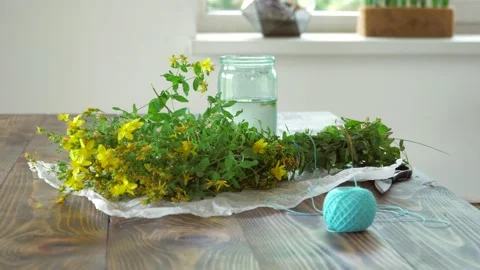Collecting thyme for tea. Dry the herbs at home. Vídeos de archivo 134553543