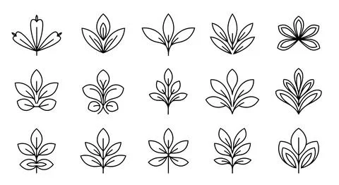 A collection of 15 different flower line drawings Stock Illustration