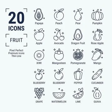 Collection of 20 thin line fruit icons including papaya, peach, pear, pumpk.. Stock Illustration