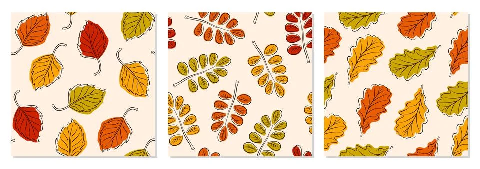Collection of 3 seamless pattern with autumn leaves in line art style. Great for Stock Illustration