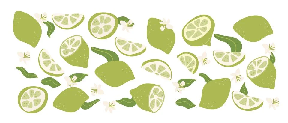 Collection of abstract lime fruit. Green fruit pattern, contemporary art prin Stock Illustration