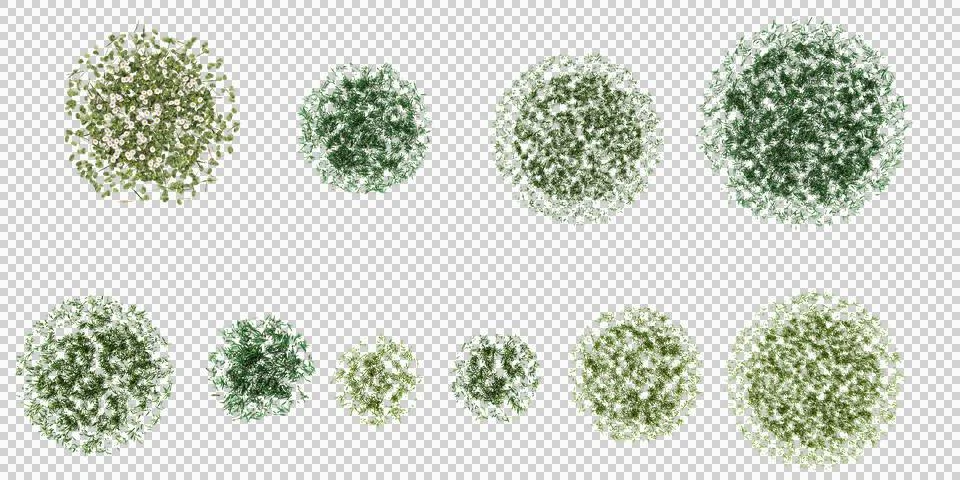 Collection of abstract tree top view isolated on white background for lands.. Stock Photos