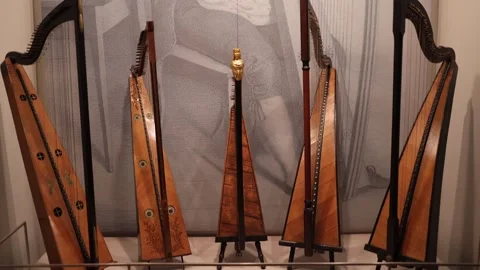A collection of antique stringed instruments displayed in a museum, featuring un Stock Footage 293565622