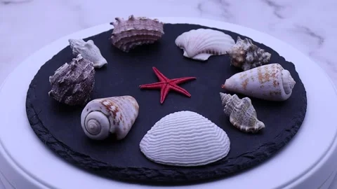 Collection of assorted shells rotating on a turntable. Stock Footage 253371203