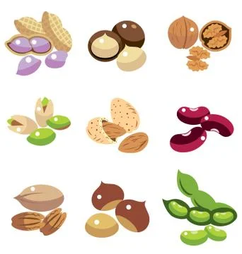 Collection of Beans Illustrazione stock