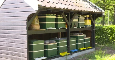 Collection of beehives and bee skept in apiary - buzzing bees Stock Footage 112010837