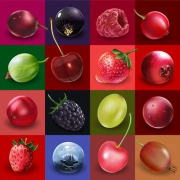 Collection of Berries Stock Illustration