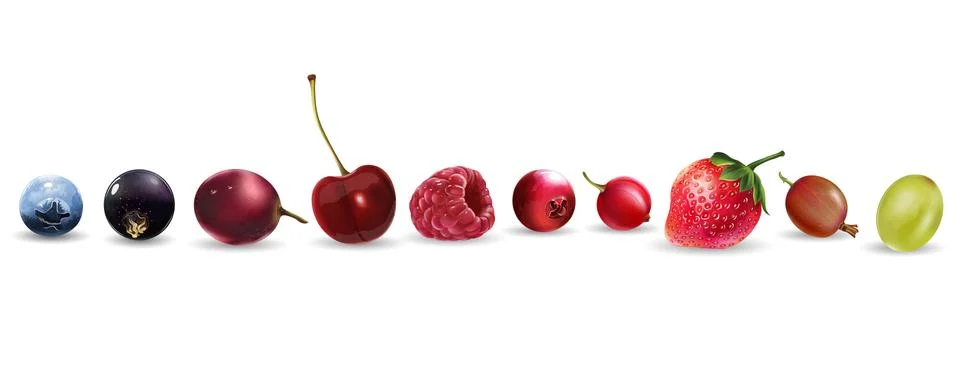 Collection of Berries Stock Illustration