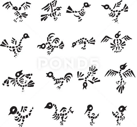 Collection of Bird Skeleton Cartoon Vectors Stock Illustration