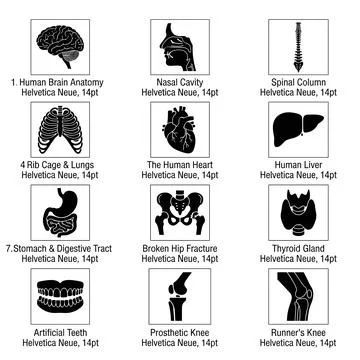 Collection of black and white human anatomy icons including brain, nasal ca.. Ilustración de archivo