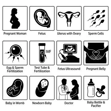 Collection of black and white vector icons representing pregnancy, concepti.. イラスト素材