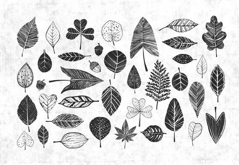 Collection of black doodle leaves on old paper background Stock Illustration