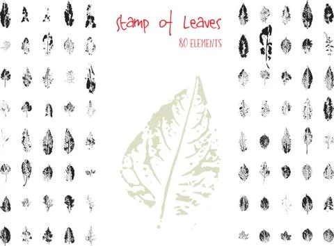 Collection of black paint seal leaves of trees and plants Illustrazione stock