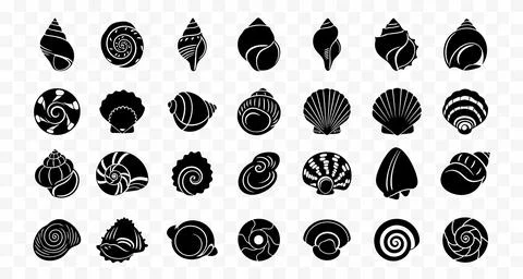 Collection of black seashells on transparent background, ocean shells 스톡 일러스트
