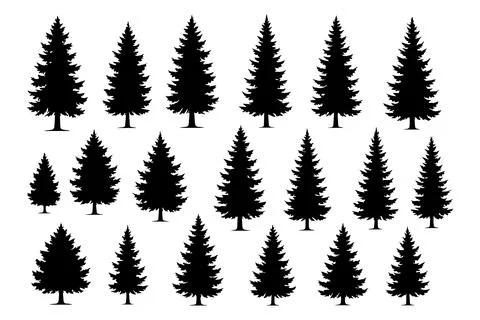 Collection of black silhouette pine trees of various sizes, arranged on a white  Stock Illustration