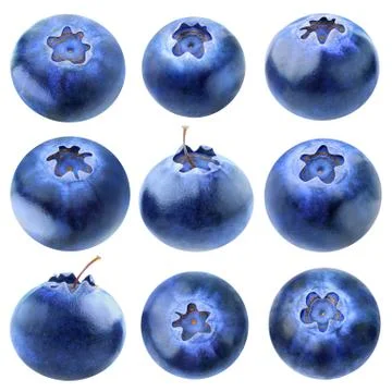 Collection of blueberries Stock Photos