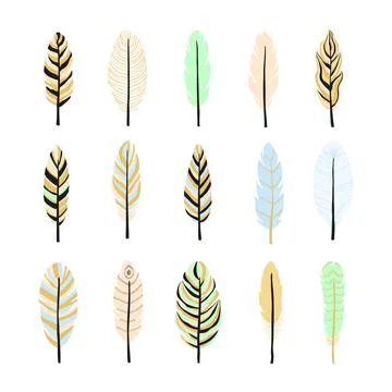 Collection of boho feathers. Stock Illustration