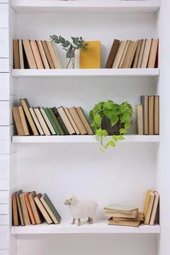 Collection of books and decor elements on shelves indoors Foto stock