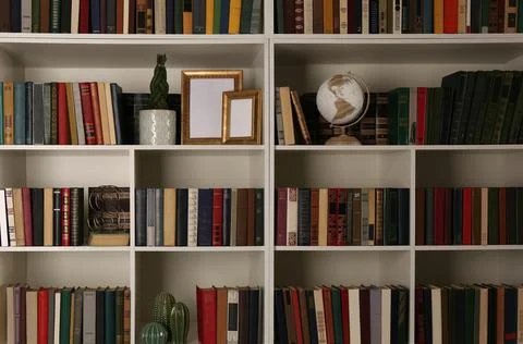 Collection of books and decor elements on shelves. Home library 스톡 사진