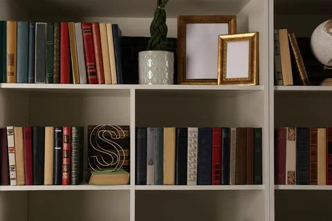 Collection of books and decor elements on shelves. Home library 库存照片