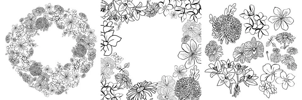 Collection of botanical elements Stock Illustration