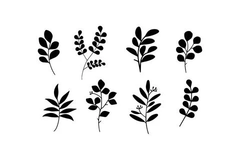 Collection of Botanical Leaf Silhouettes. Vector icon. Stock Illustration