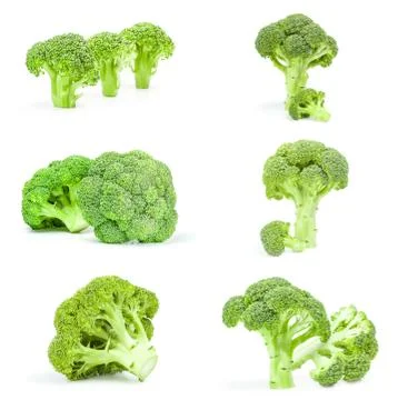 Collection of broccoli floret on a white background Stock Photos