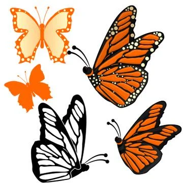 Collection of Butterfly Stock Illustration